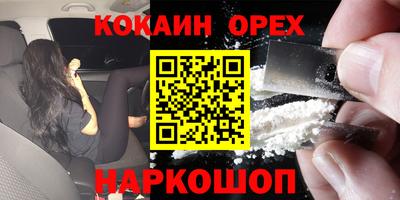 гашик Малгобек