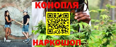 гашик Малгобек