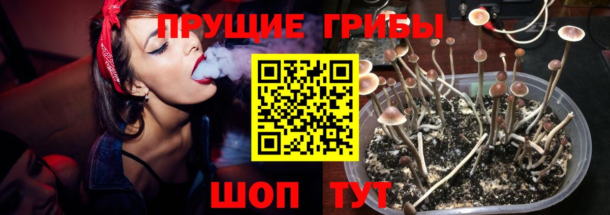 Сергиев Посад  Галлюциногенные грибы Cubensis  Вход с VPN  купить наркоту  Галлюциногенные грибы Psilocybine cubensis 
